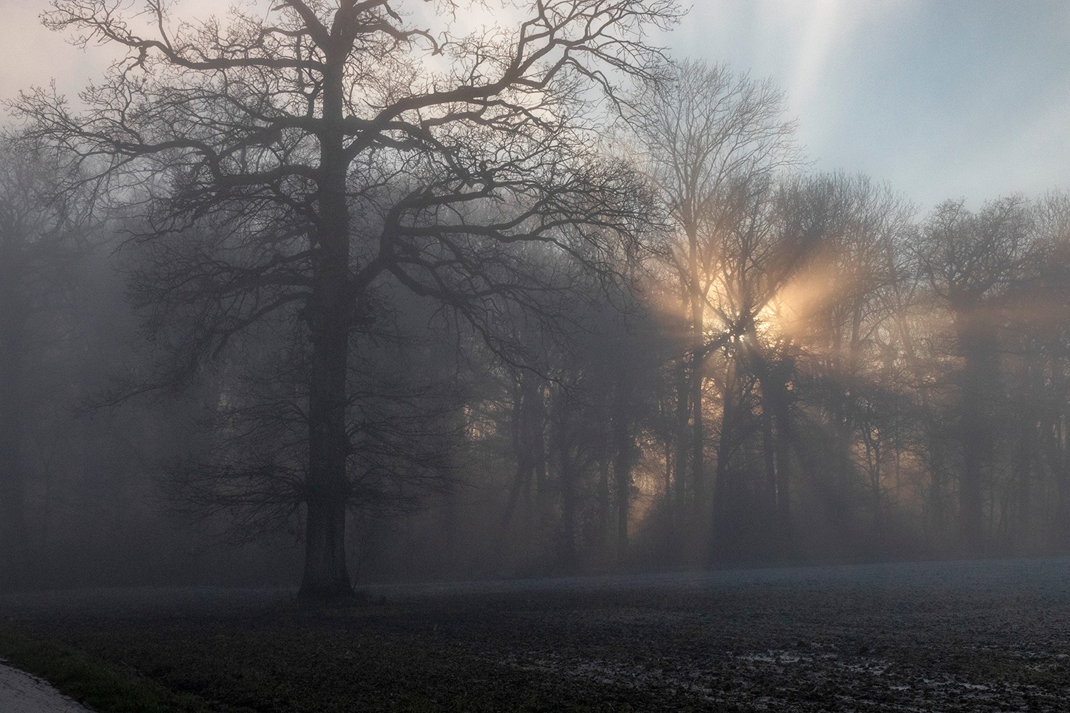 Asanemdecembrebrouillard0592121823