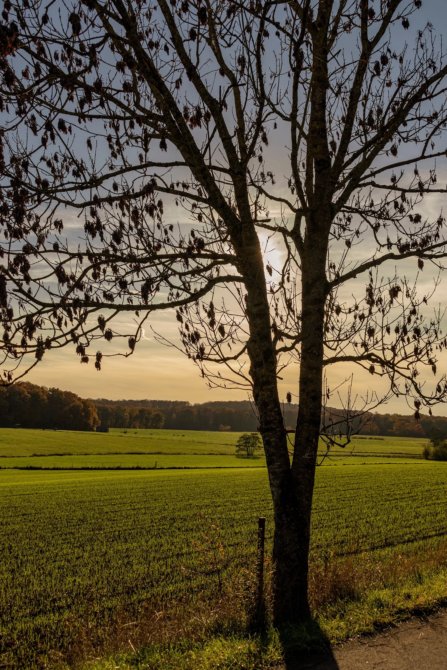 Ateliermarin0611251973 1