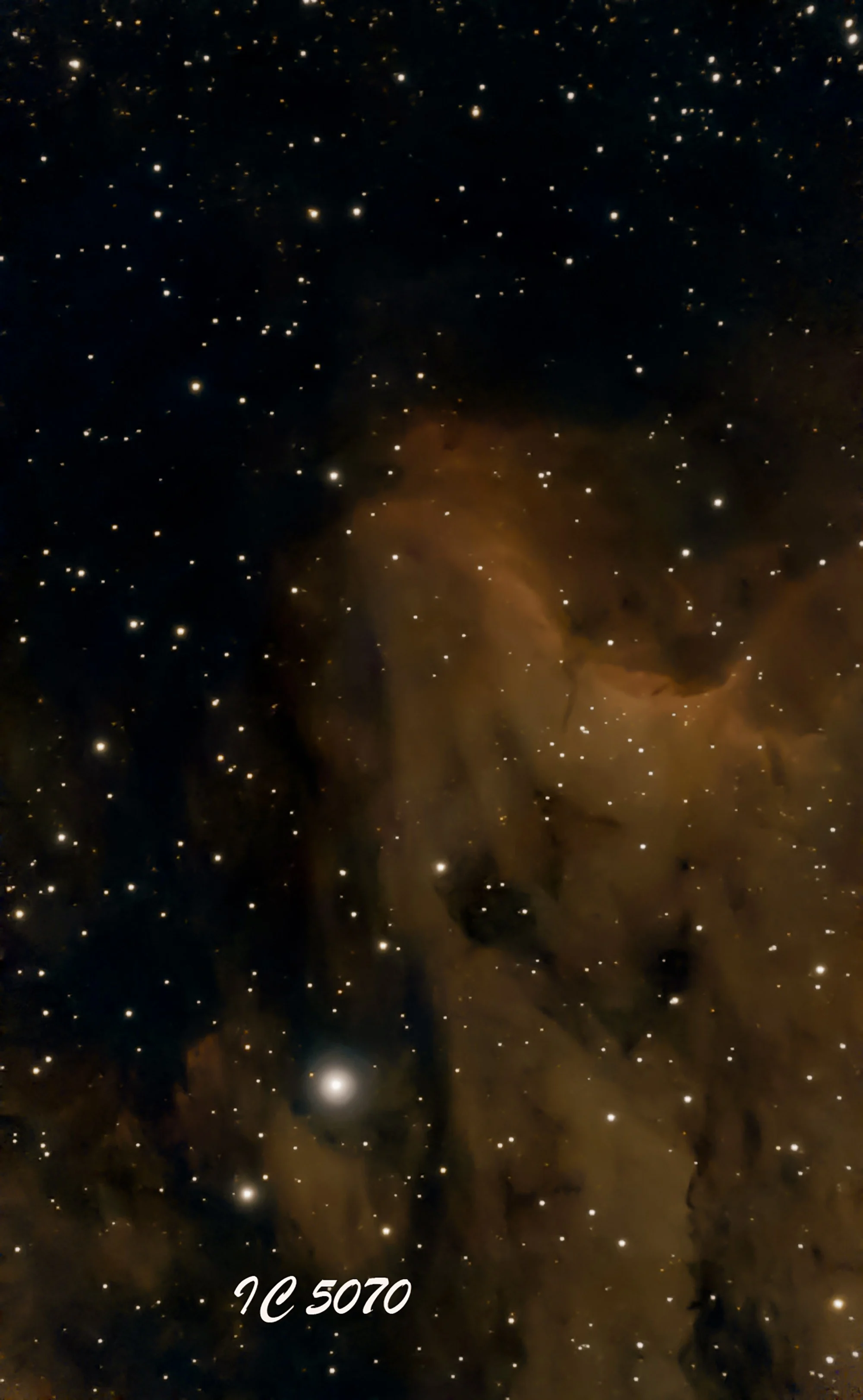 Ic 5070 509x10sec t23 c 2024 07 19bb