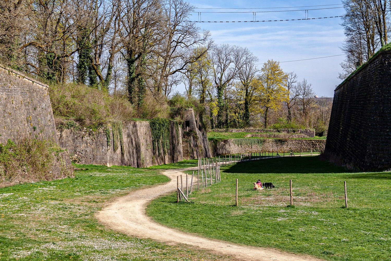 Lesramparslongwy0804251141