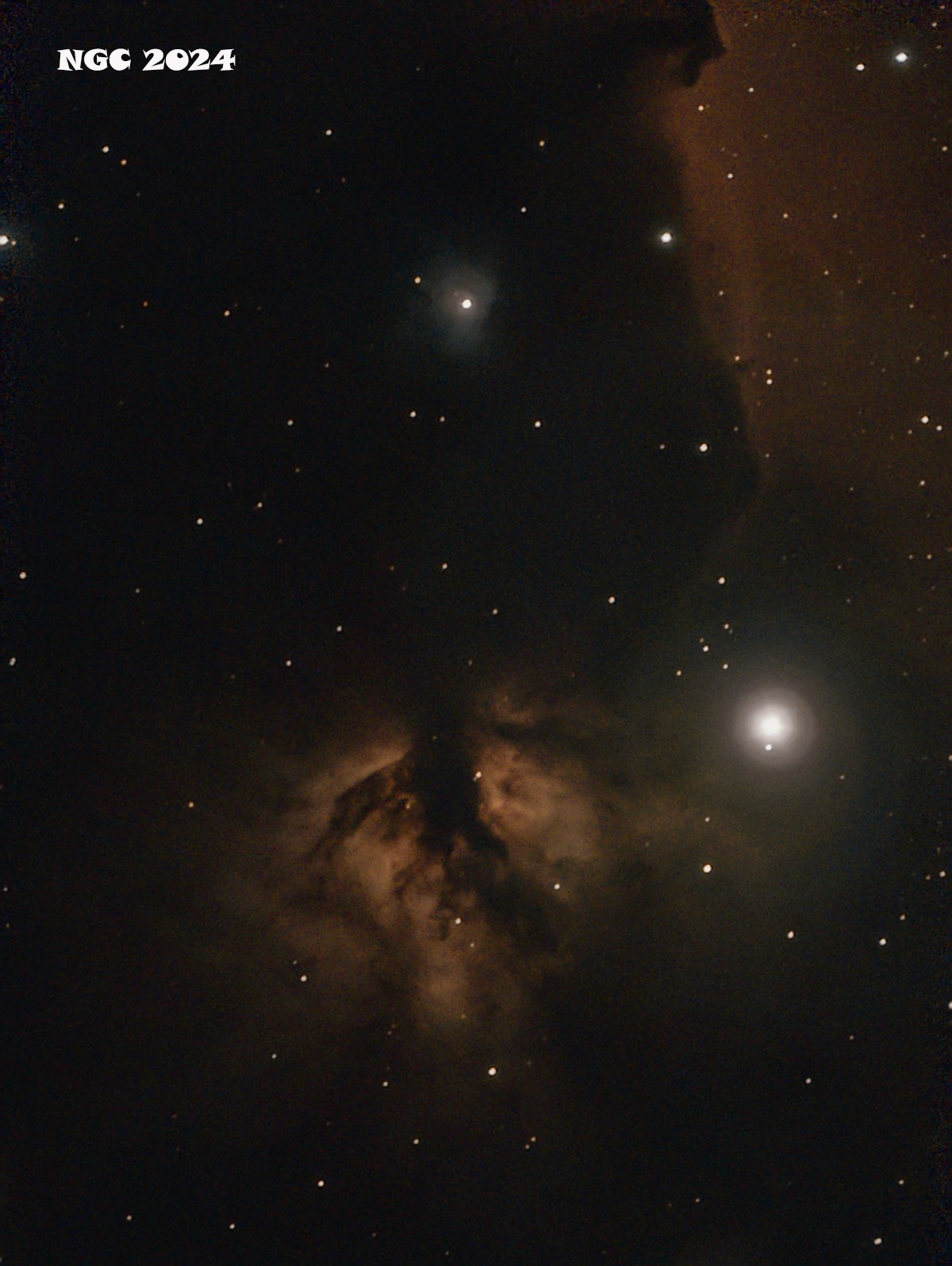 Ngc 2025