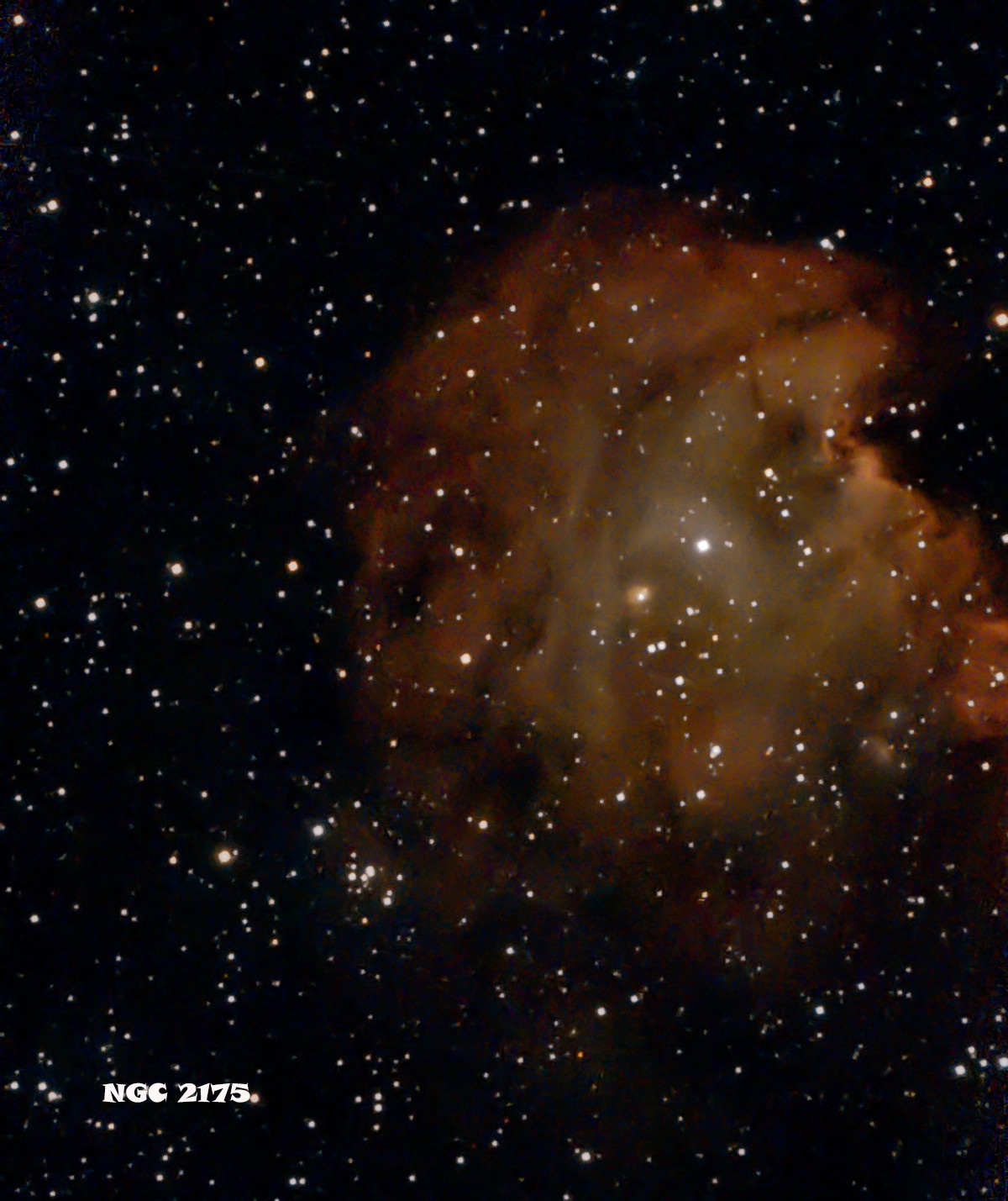Ngc 2176