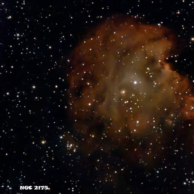 Ngc 2176