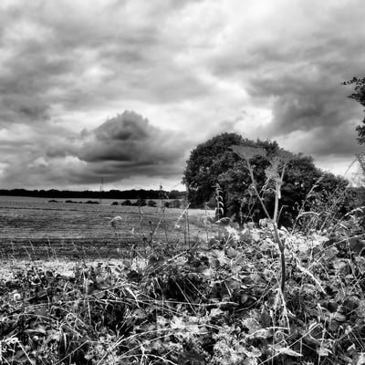 Serie dramatique Couleur et Noir & Blanc A1