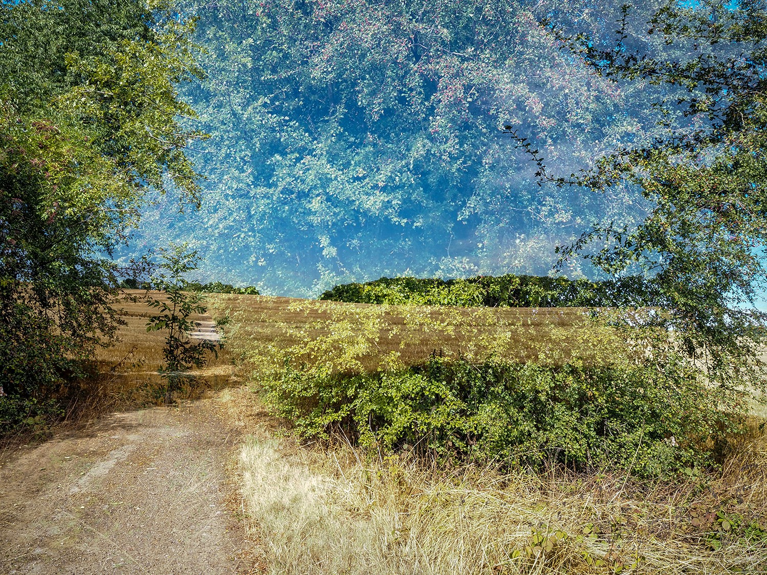 P8230384