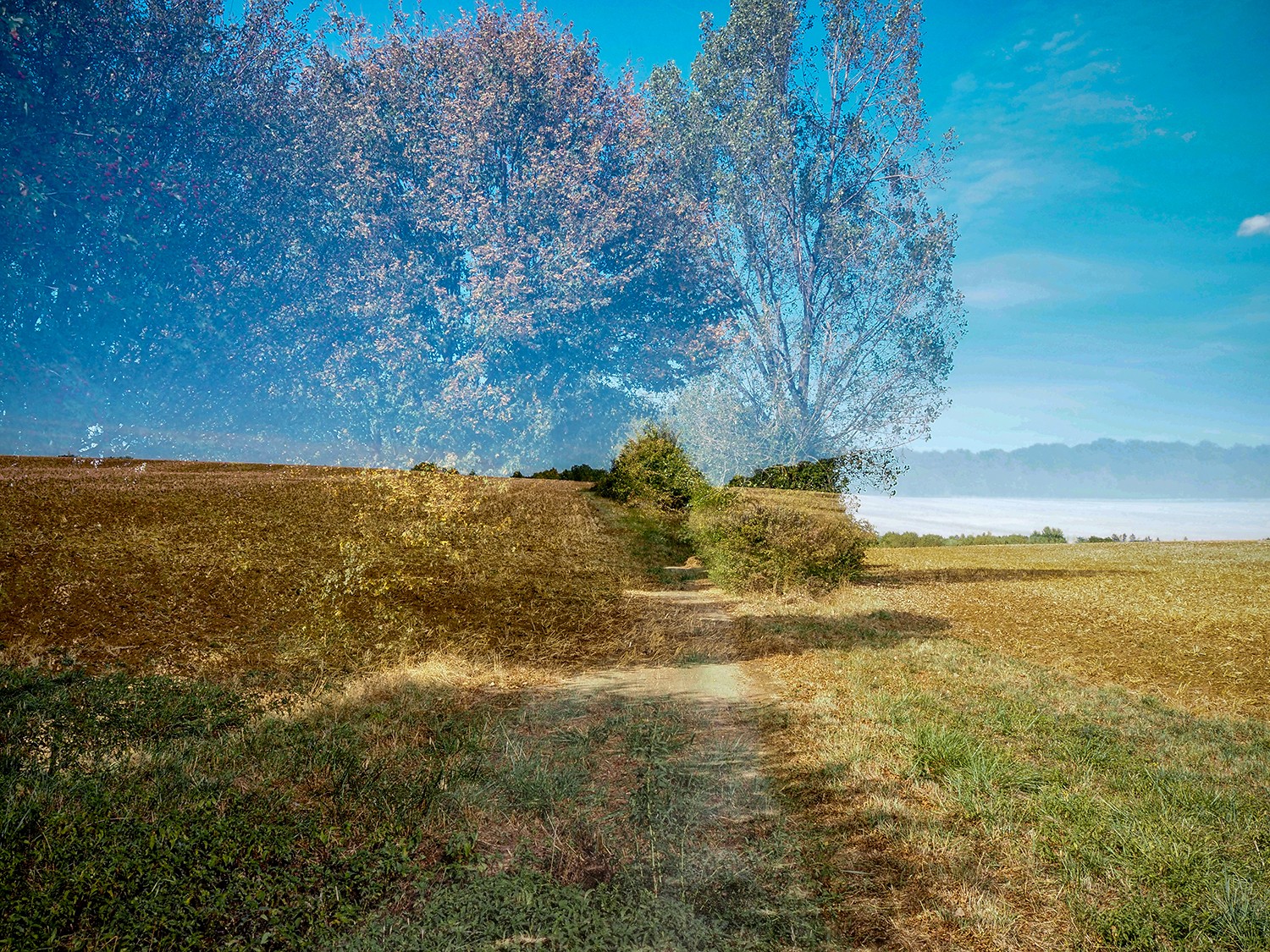 P8230385