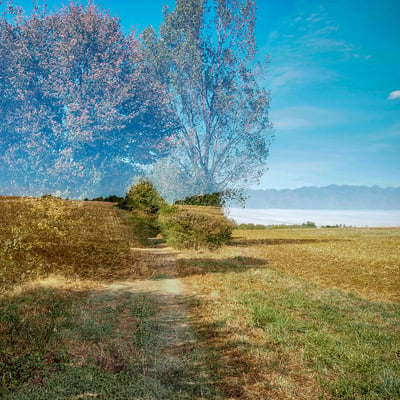 P8230385