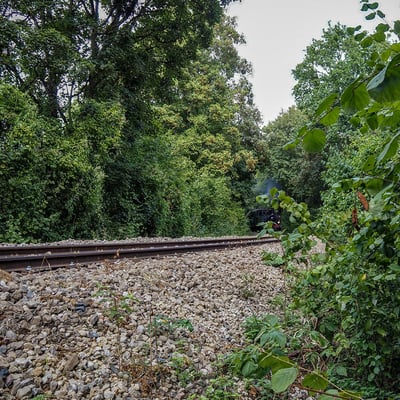 P8300425