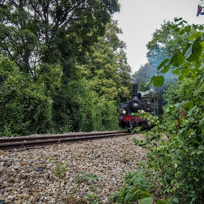 P8300426