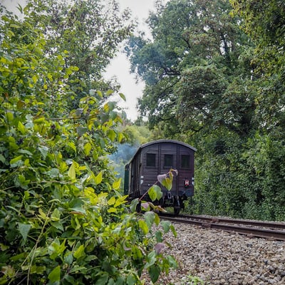 P8300428