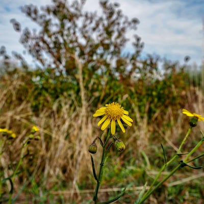 P9240574