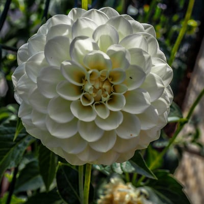 P9270652