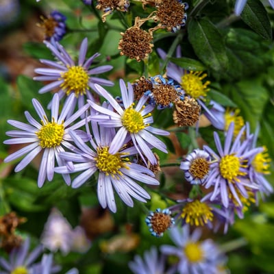 P9270653