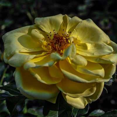 P9270667