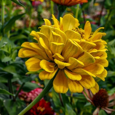 Pa070755