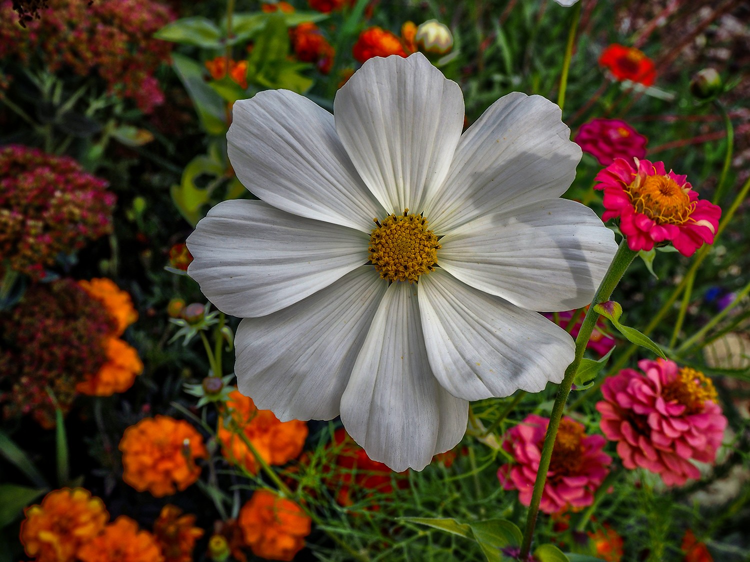 Pa070758