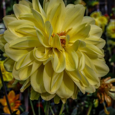 Pa070760