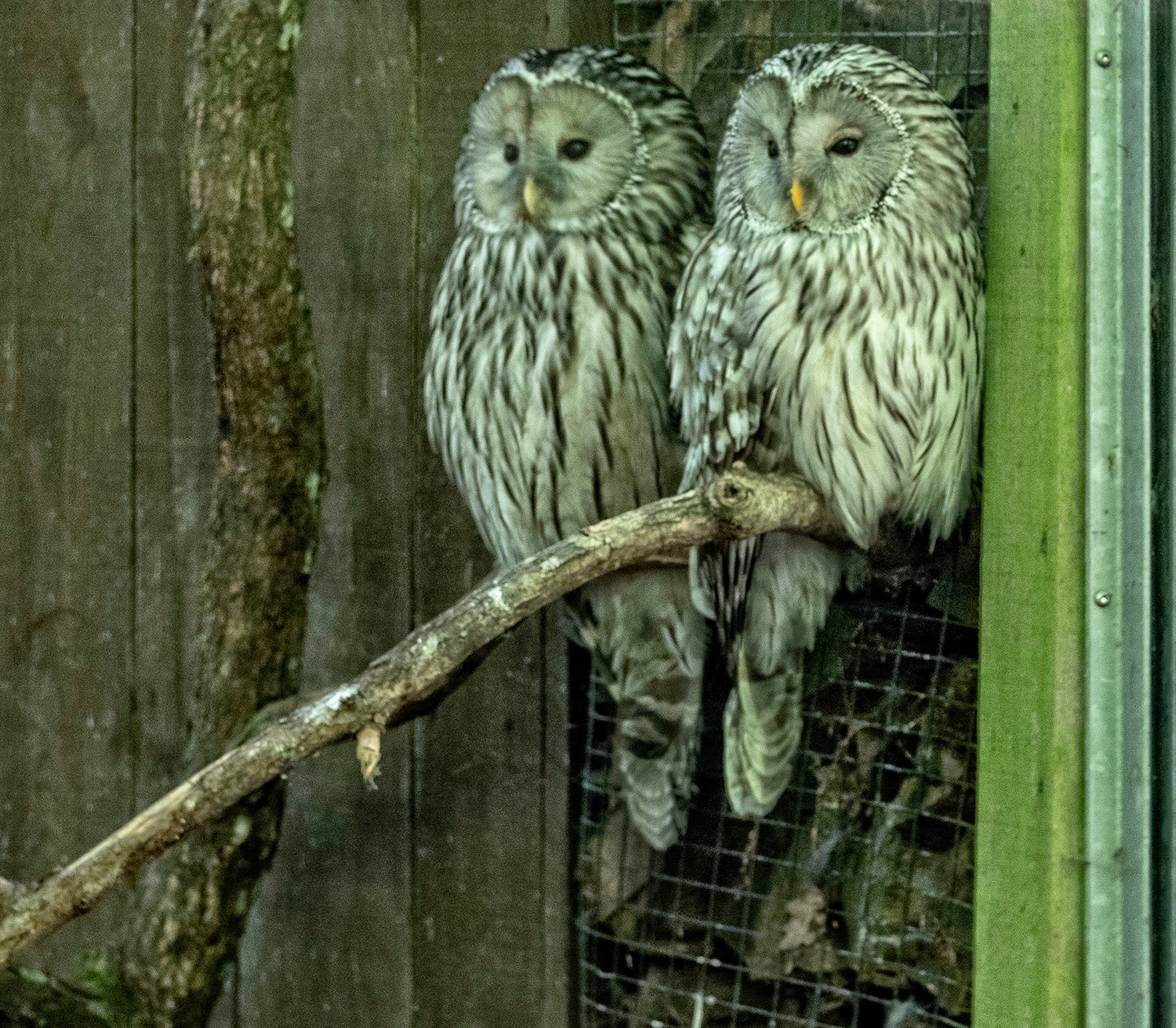 Parcstcroix0206251331