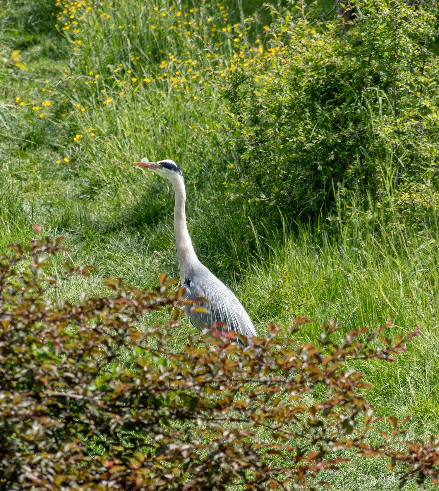 Parcstcroix2305251291