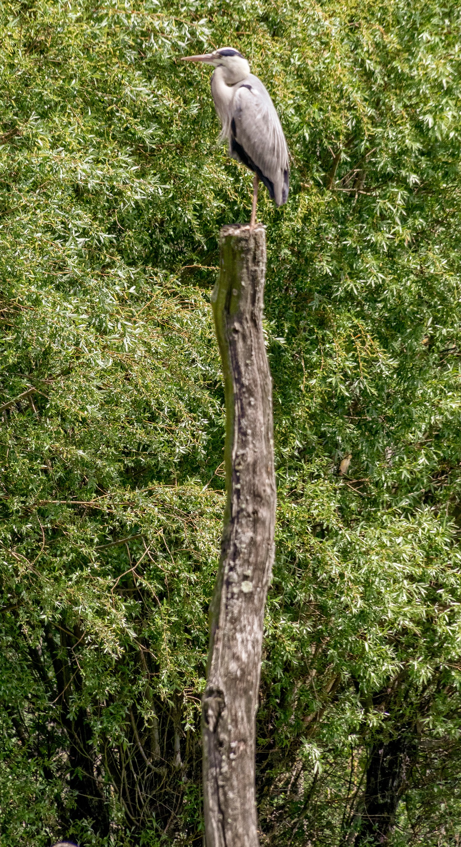 Parcstcroix2305251292