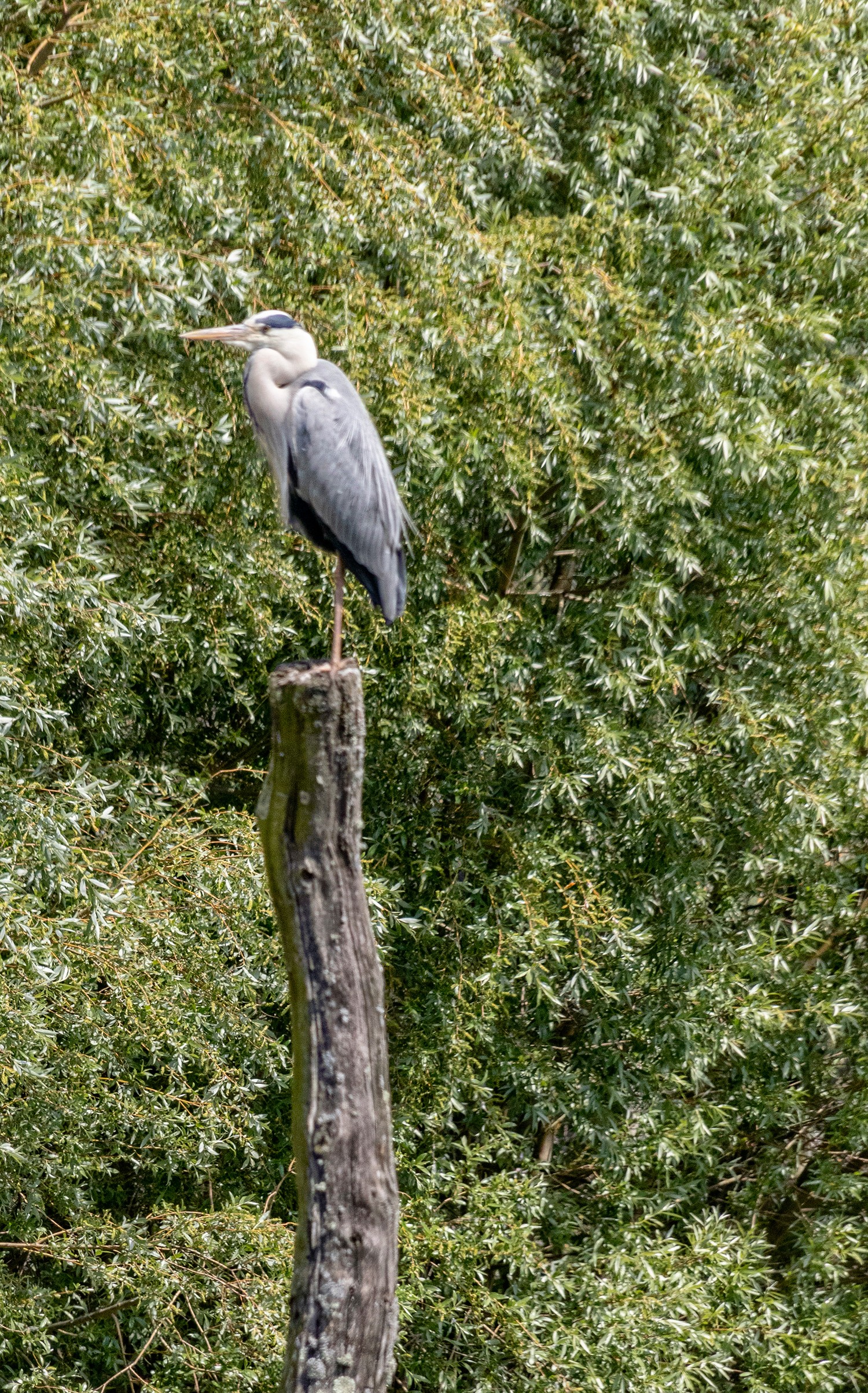 Parcstcroix2305251293