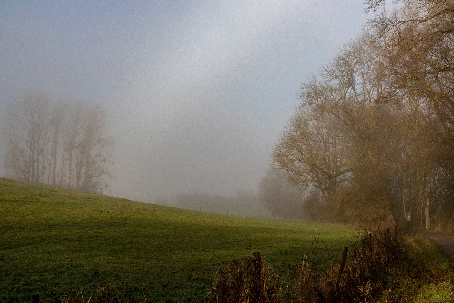 Sanemdecembrebrouillard0577121823