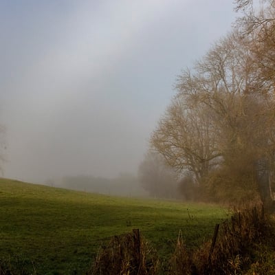 Sanemdecembrebrouillard0577121823