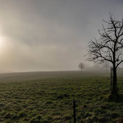 Sanemdecembrebrouillard0581121823