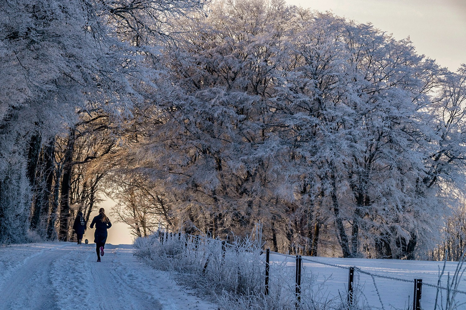 Sannemneigejanvier0752012024